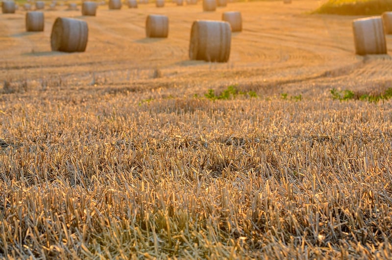 Harvest Swaps